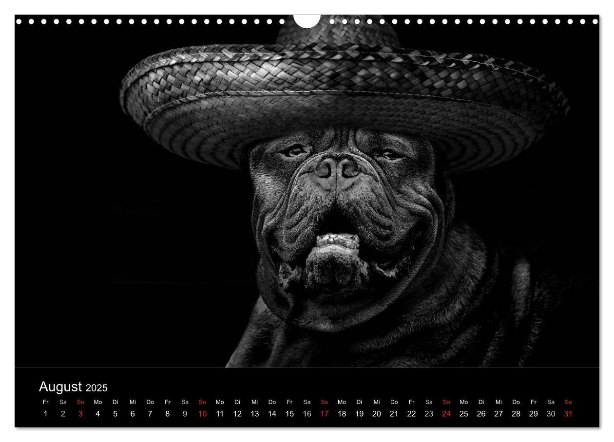 Bild: 9783435781096 | Hütehunde (Wandkalender 2025 DIN A3 quer), CALVENDO Monatskalender