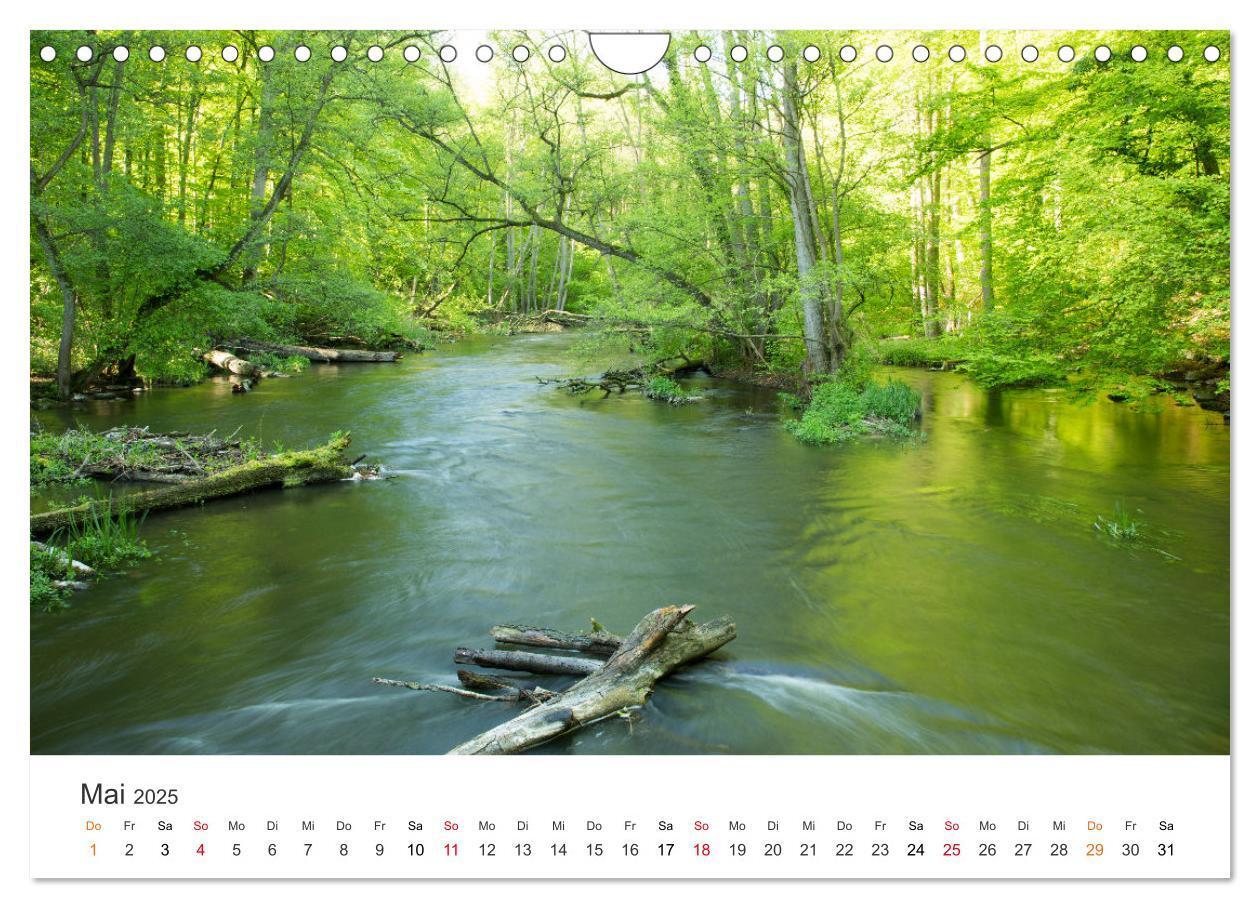 Bild: 9783435057962 | Faszination Natur - Bilder aus Mecklenburg-Vorpommern (Wandkalender...