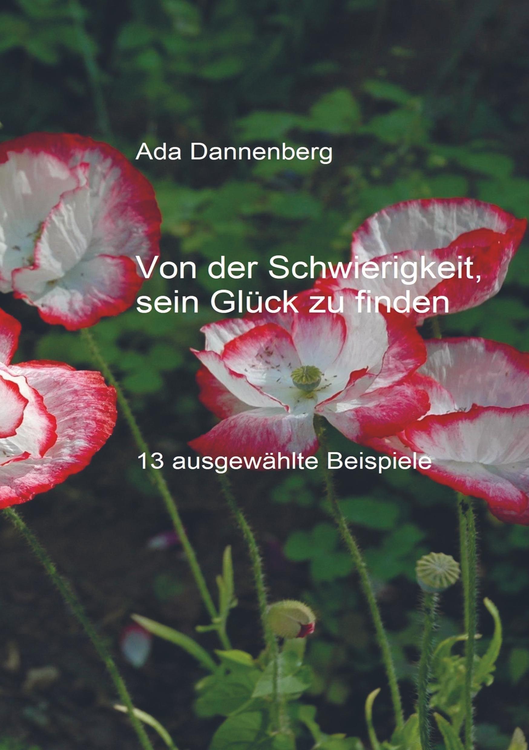 Cover: 9789463421515 | Von der Schwierigkeit, sein Glück zu finden | Ada Dannenberg | Buch