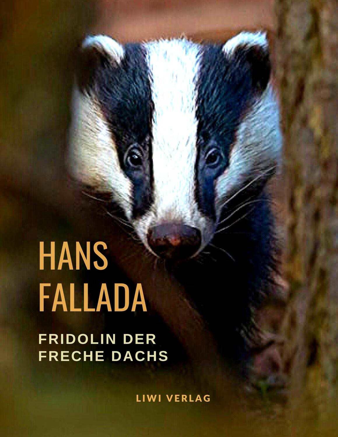 Cover: 9783965422070 | Fridolin der freche Dachs | Hans Fallada | Taschenbuch