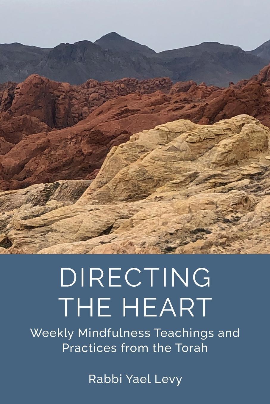 Cover: 9781733238403 | Directing the Heart | Rabbi Yael Levy | Taschenbuch | Paperback | 2019
