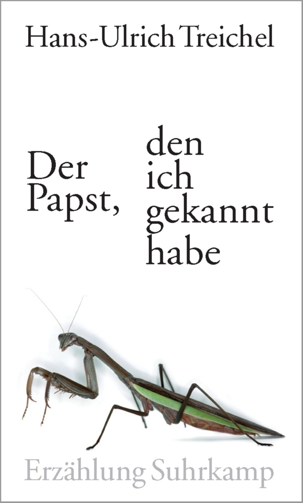 Cover: 9783518419328 | Der Papst, den ich gekannt habe | Erzählung | Hans-Ulrich Treichel