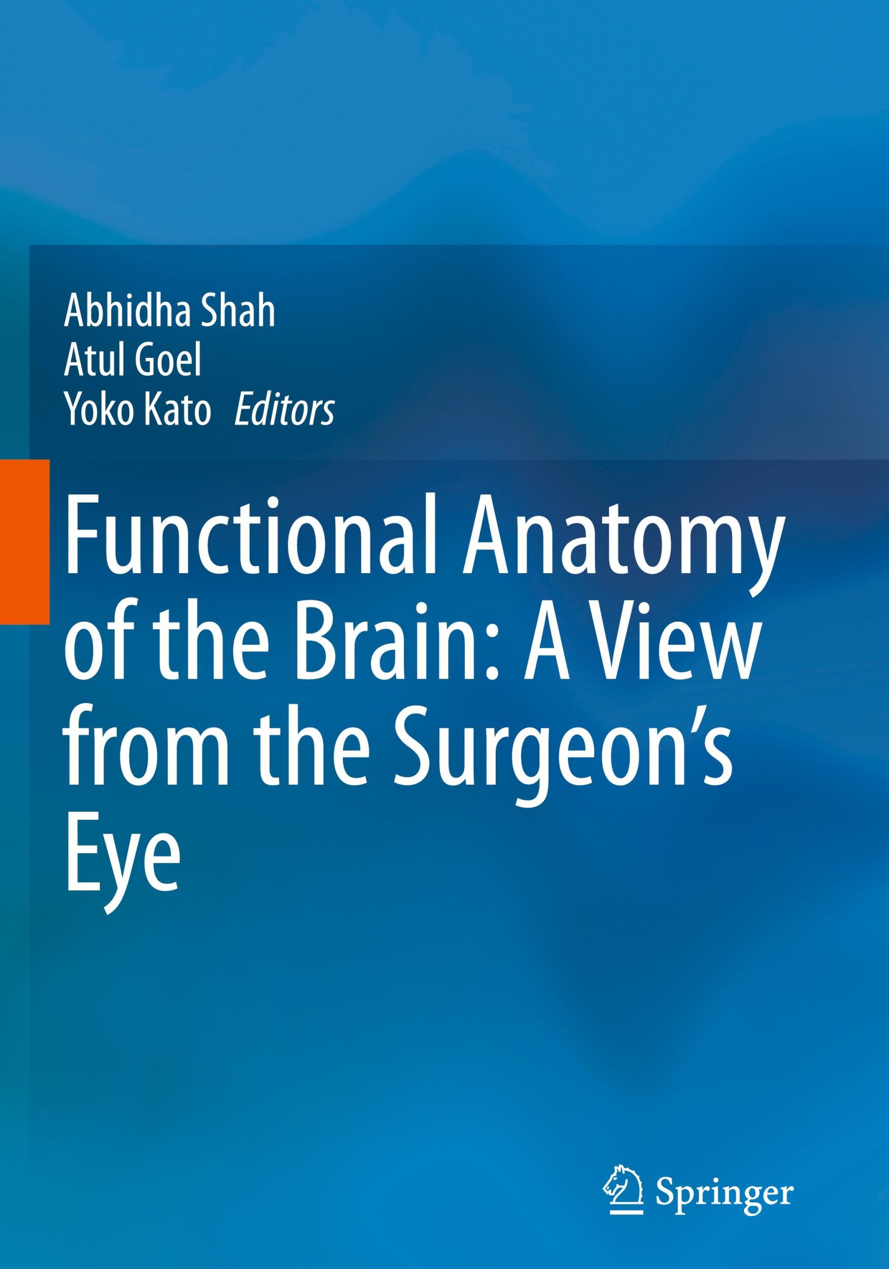 Cover: 9789819934119 | Functional Anatomy of the Brain: A View from the Surgeon¿s Eye | Buch