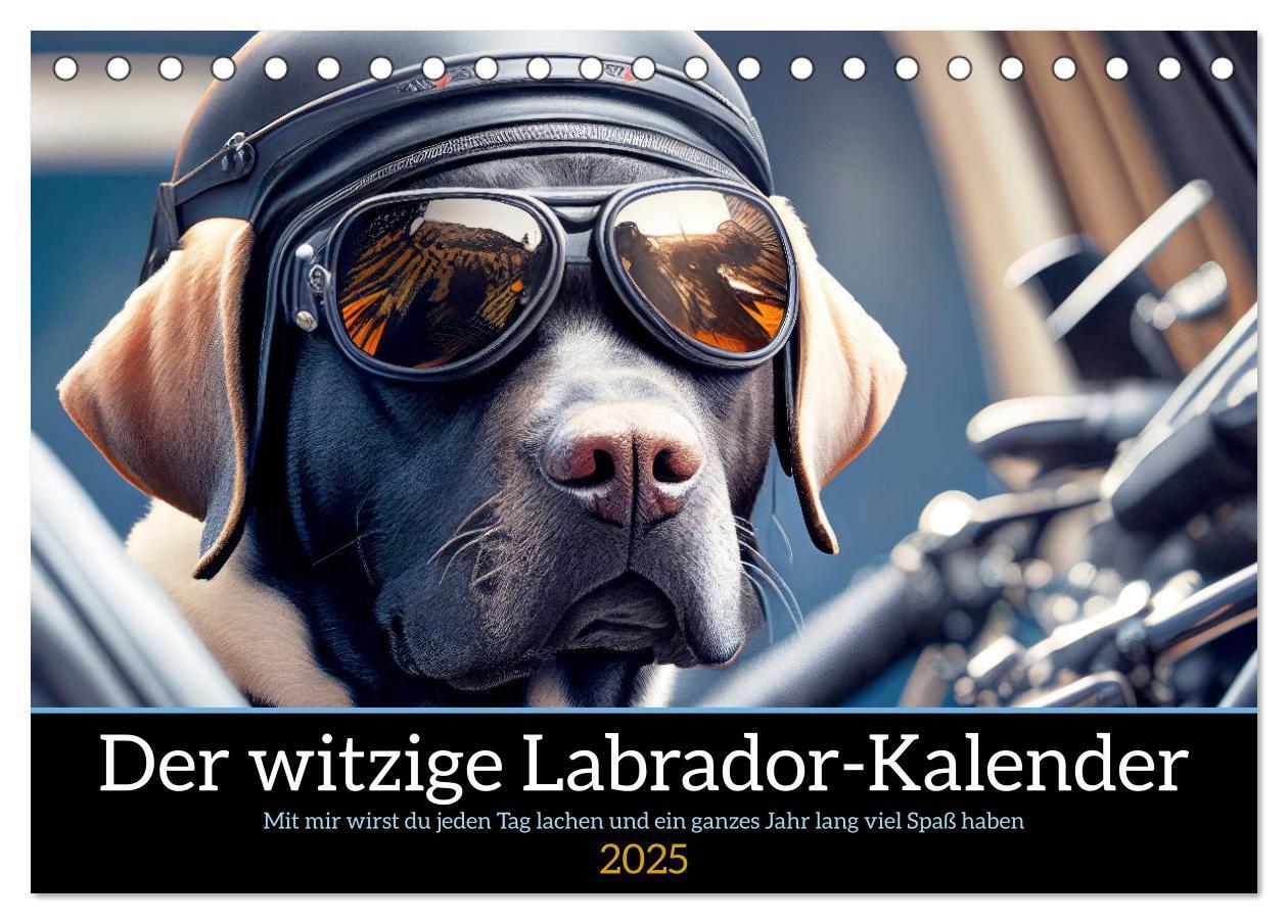 Cover: 9783435369027 | Der witzige Labrador-Kalender (Tischkalender 2025 DIN A5 quer),...