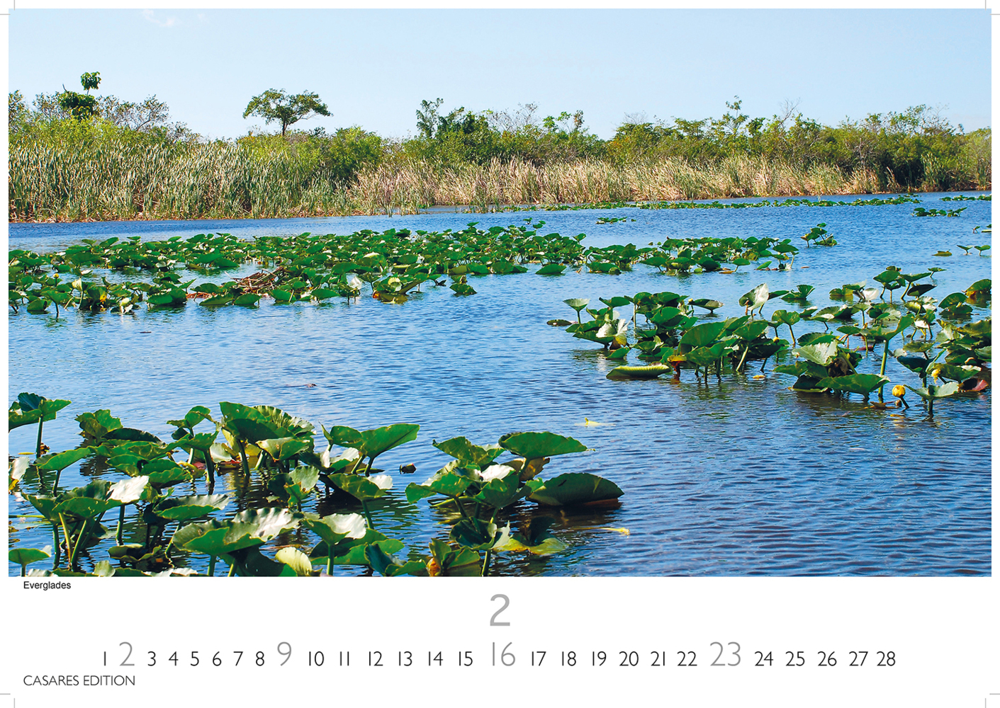 Bild: 9781835242773 | Florida 2025 S 24x35cm | Kalender | 14 S. | Deutsch | 2025