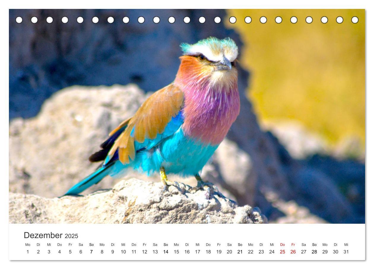 Bild: 9783383956713 | Botswana - Grandiose Wildnis (Tischkalender 2025 DIN A5 quer),...