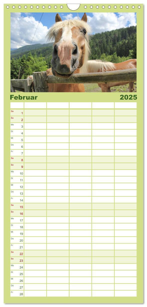 Bild: 9783457107294 | Familienplaner 2025 - Alpenpferde mit 5 Spalten (Wandkalender, 21 x...