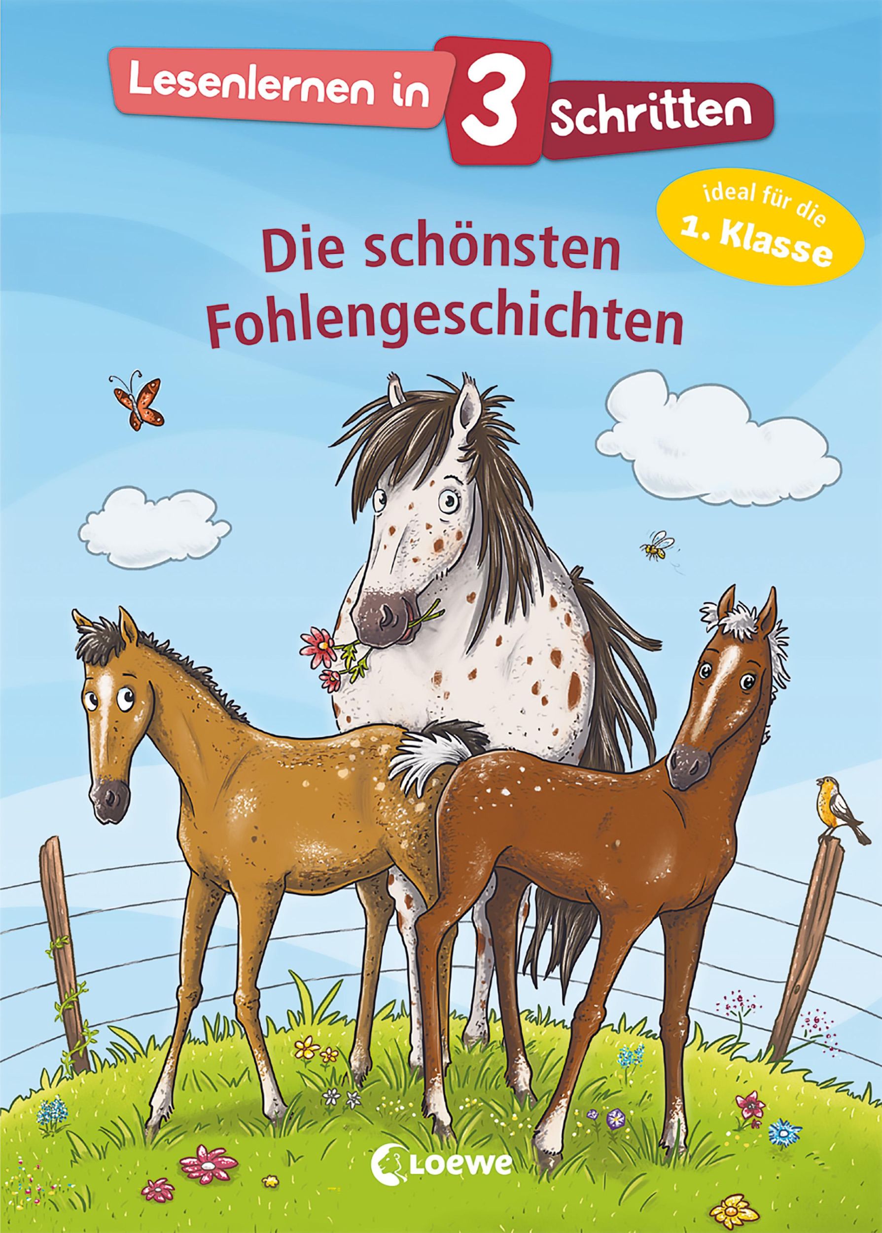 Cover: 9783743214101 | Lesenlernen in 3 Schritten - Die schönsten Fohlengeschichten | Buch