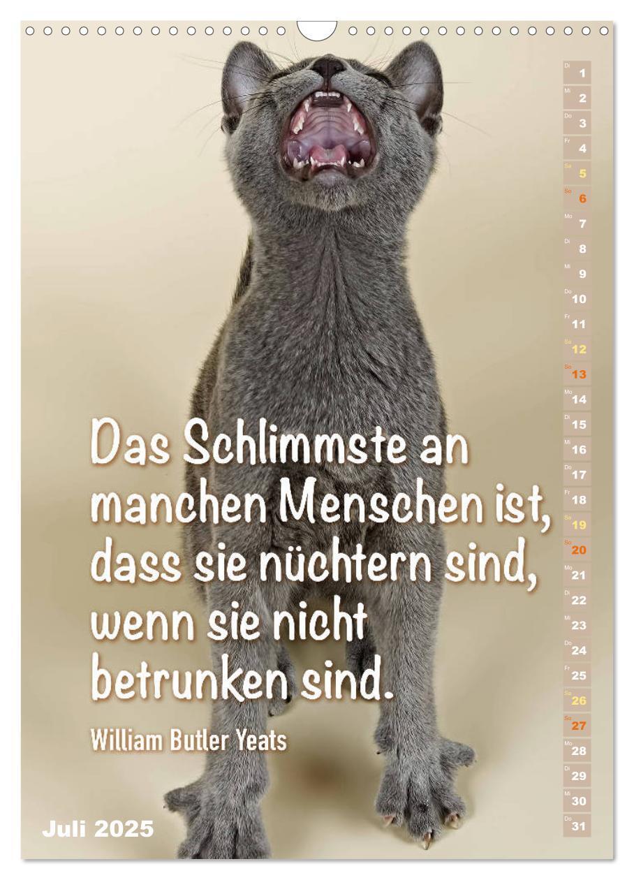 Bild: 9783435940172 | Der literarische Katerkalender (Wandkalender 2025 DIN A3 hoch),...