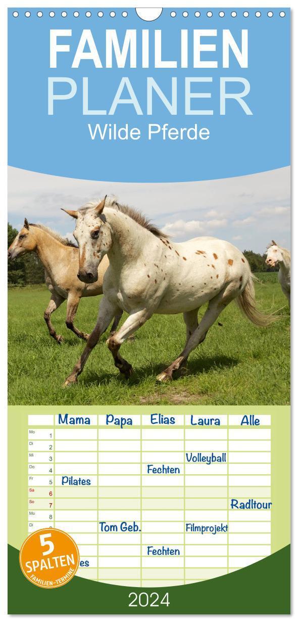 Cover: 9783383071836 | Familienplaner 2024 - Wilde Pferde mit 5 Spalten (Wandkalender, 21...
