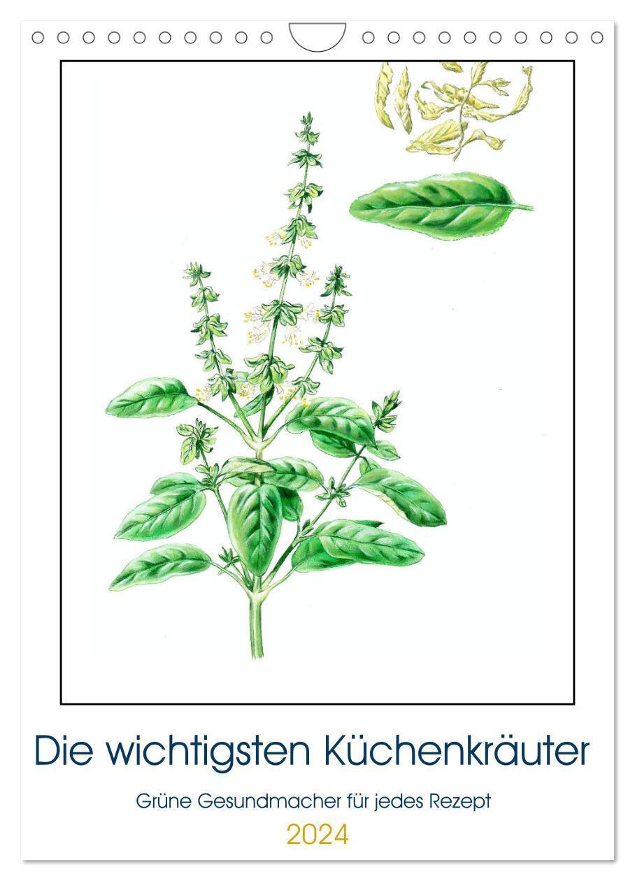 Cover: 9783675607729 | Die wichtigsten Küchenkräuter (Wandkalender 2024 DIN A4 hoch),...
