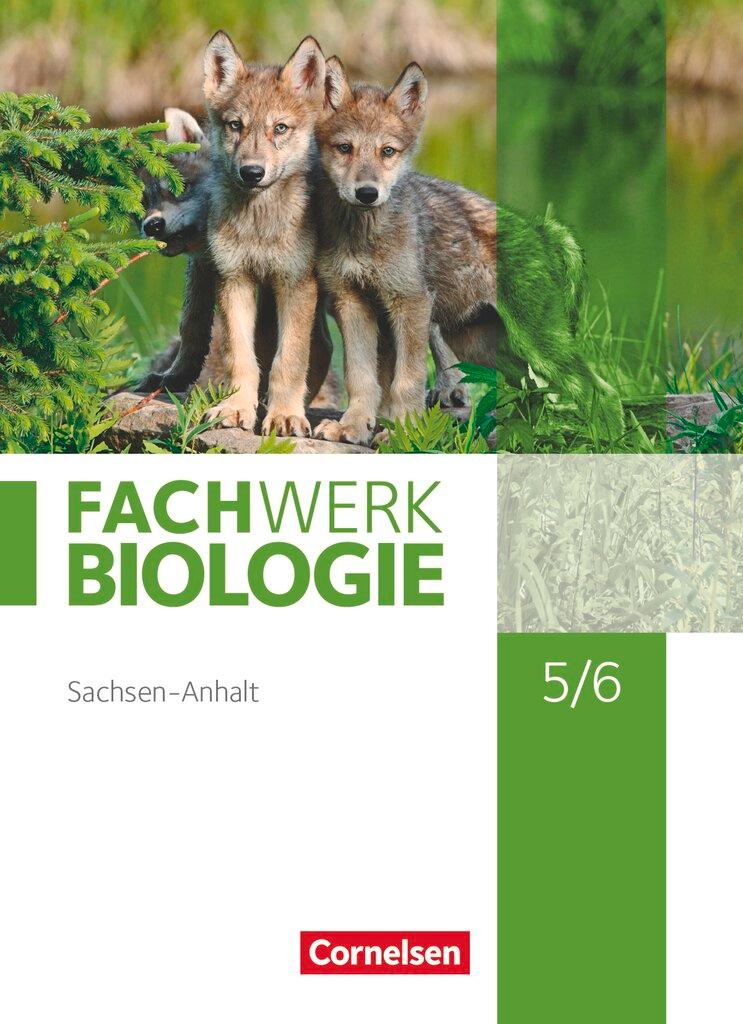 Cover: 9783060139033 | Fachwerk Biologie 5./6. Schuljahr. Sachsen-Anhalt - Schülerbuch | Buch