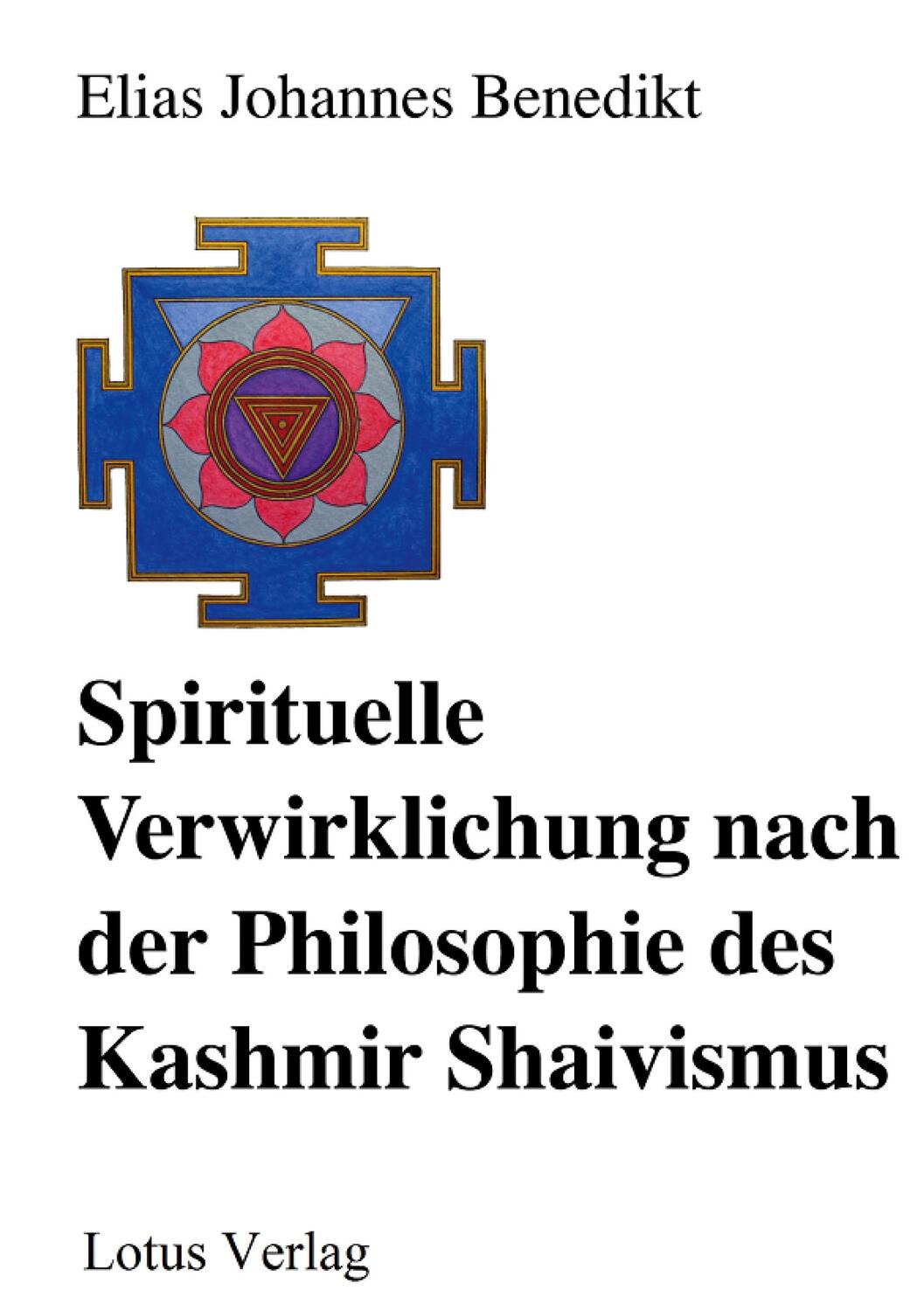 Cover: 9783751949330 | Spirituelle Verwirklichung nach der Philosophie des Kashmir Shaivismus