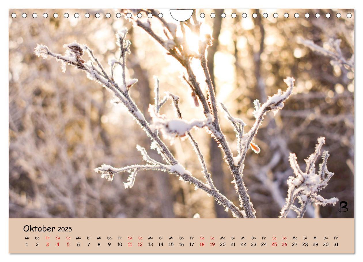 Bild: 9783435171125 | Entdecke den Yukon (Wandkalender 2025 DIN A4 quer), CALVENDO...