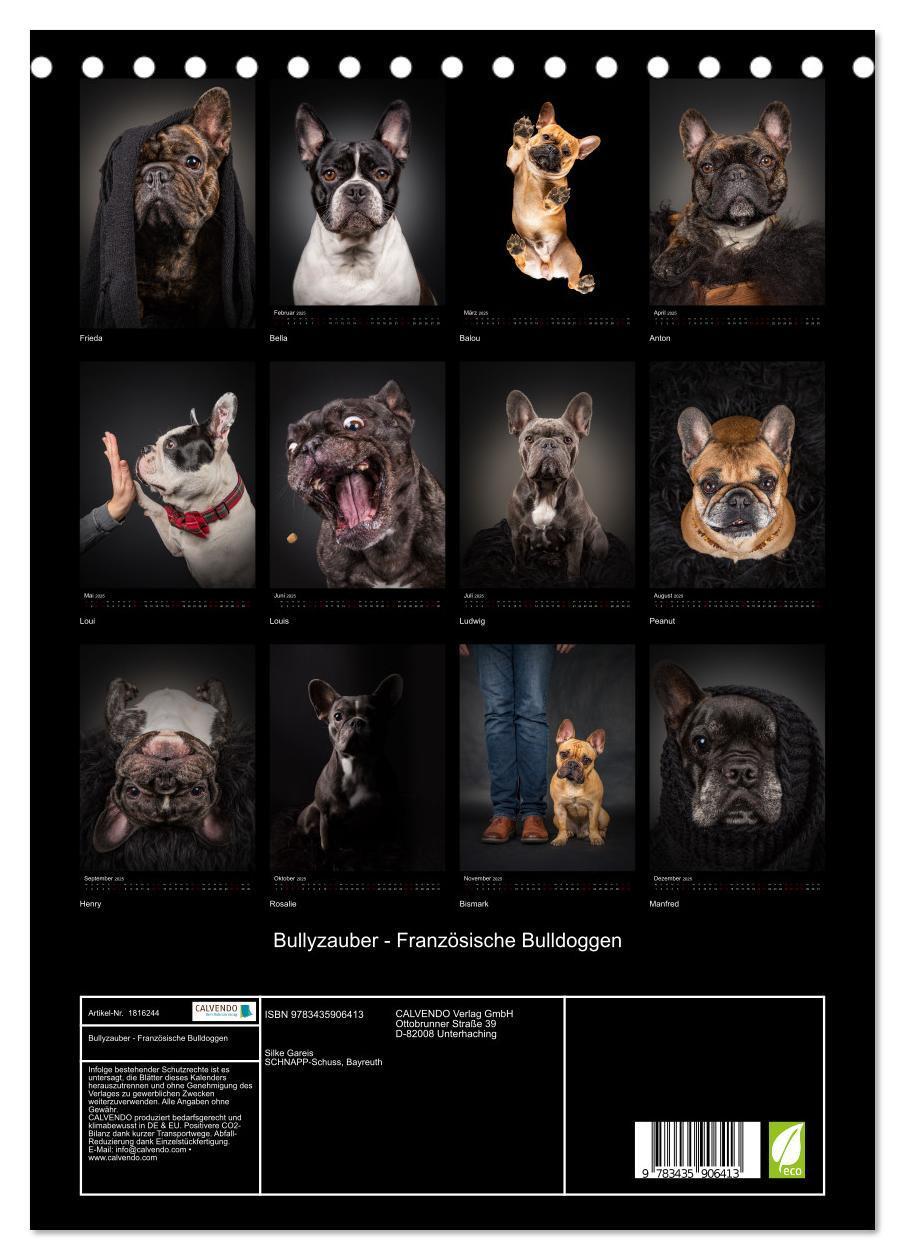 Bild: 9783435906413 | Bullyzauber - Französische Bulldoggen (Tischkalender 2025 DIN A5...