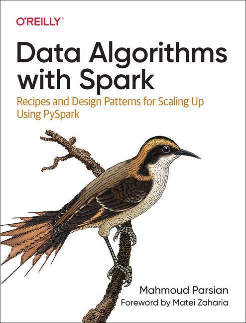 Cover: 9781492082385 | Data Algorithms with Spark | Mahmoud Parsian | Taschenbuch | Englisch