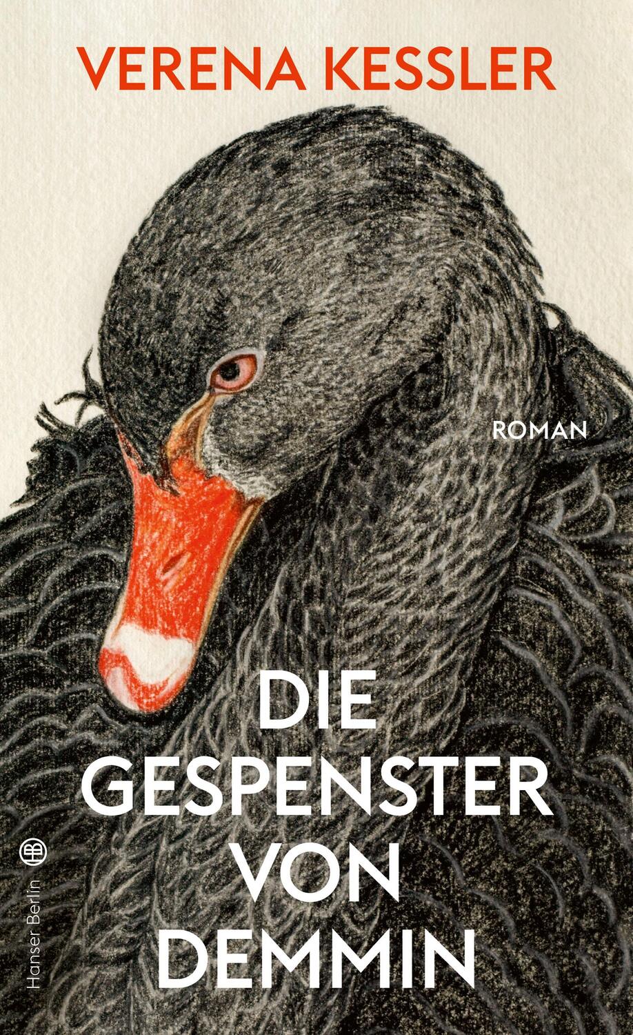 Cover: 9783446267848 | Die Gespenster von Demmin | Verena Keßler | Buch | Deutsch | 2020