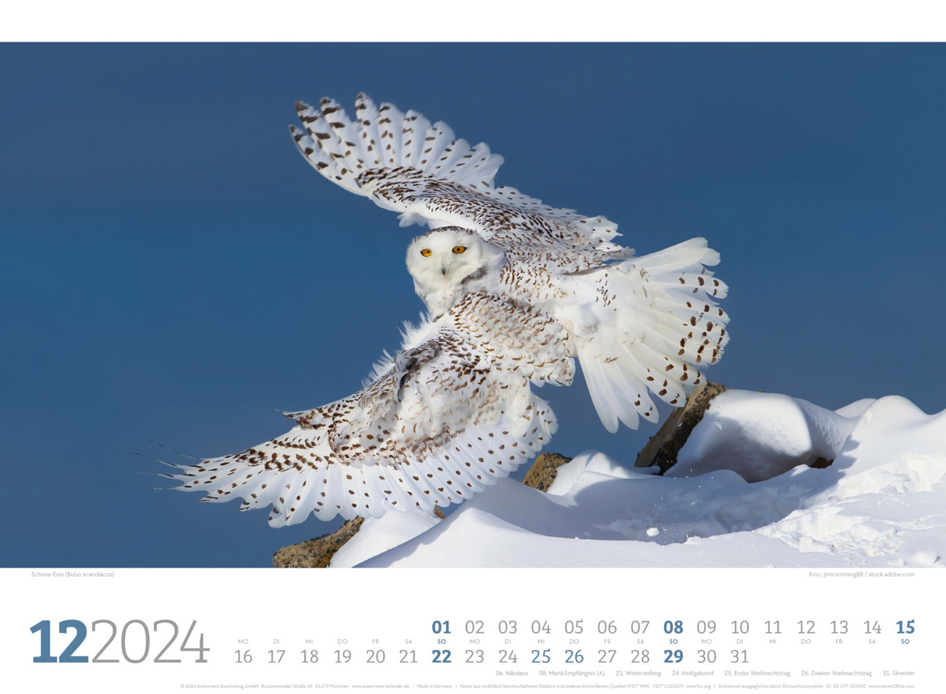 Bild: 9783838424835 | Unsere Vogelwelt Kalender 2024 | Ackermann Kunstverlag | Kalender