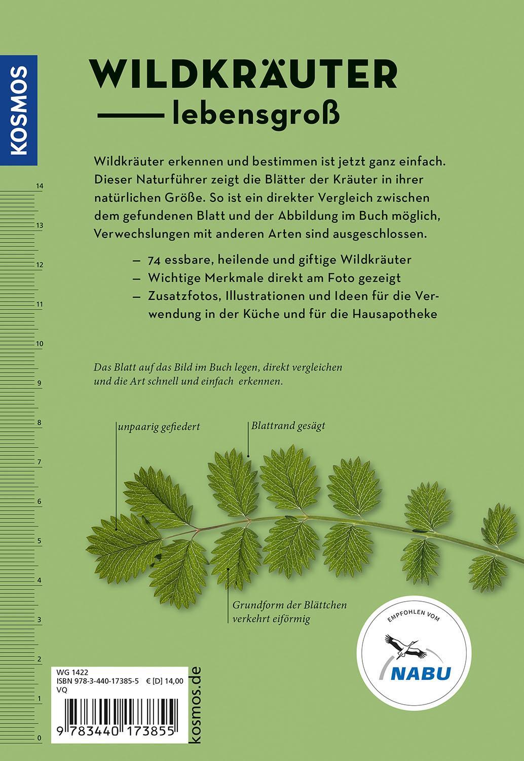 Rückseite: 9783440173855 | Wildkräuter am Blatt erkennen | Meike Bosch | Taschenbuch | 128 S.