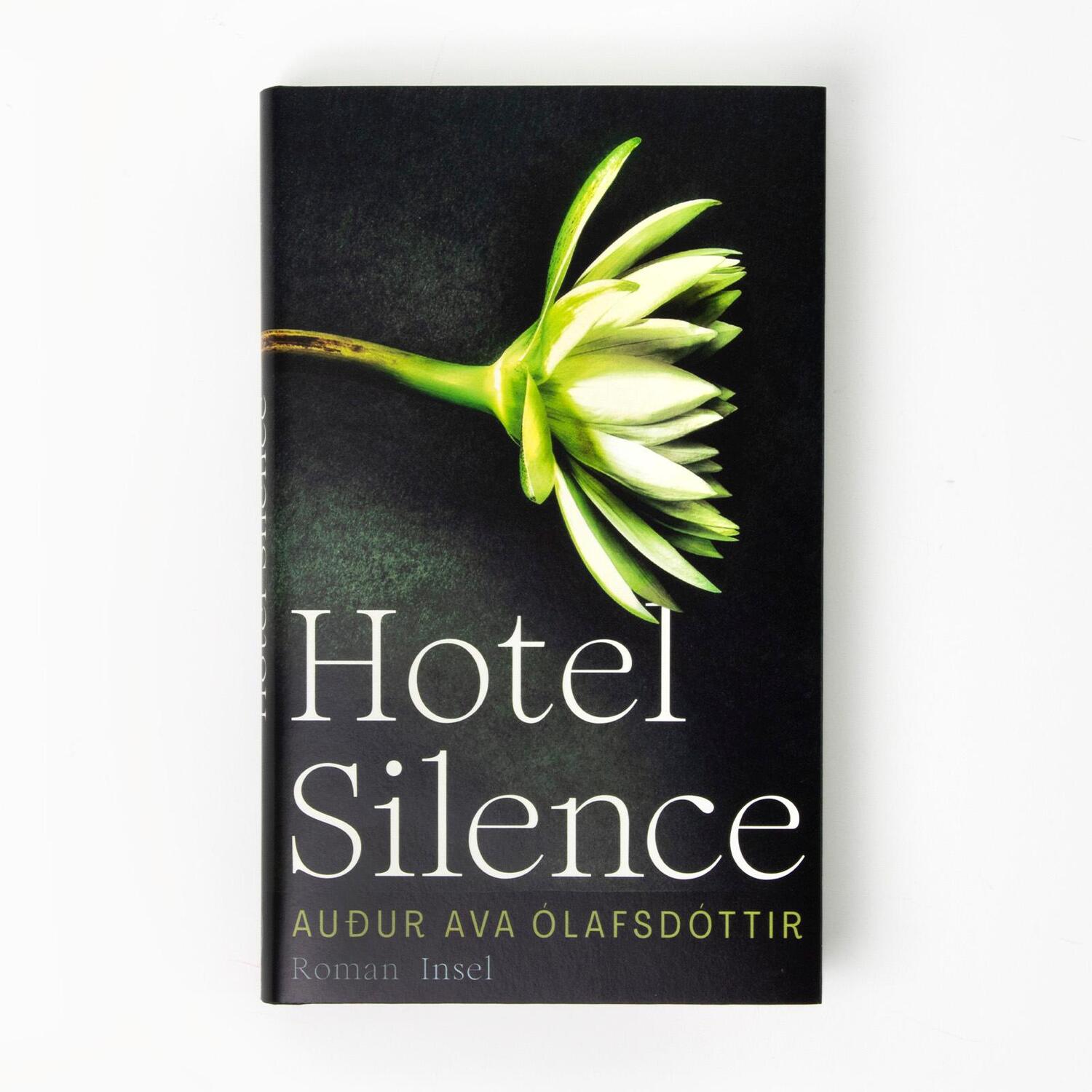 Bild: 9783458643807 | Hotel Silence | Auður Ava Ólafsdóttir | Buch | 208 S. | Deutsch | 2023