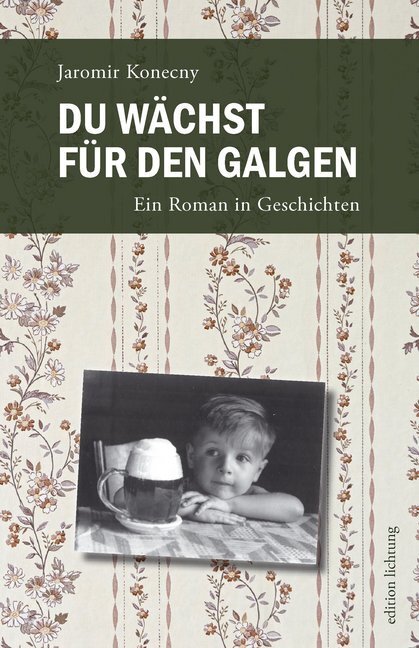 Cover: 9783941306929 | Du wächst für den Galgen | Ein Roman in Geschichten | Jaromir Konecny