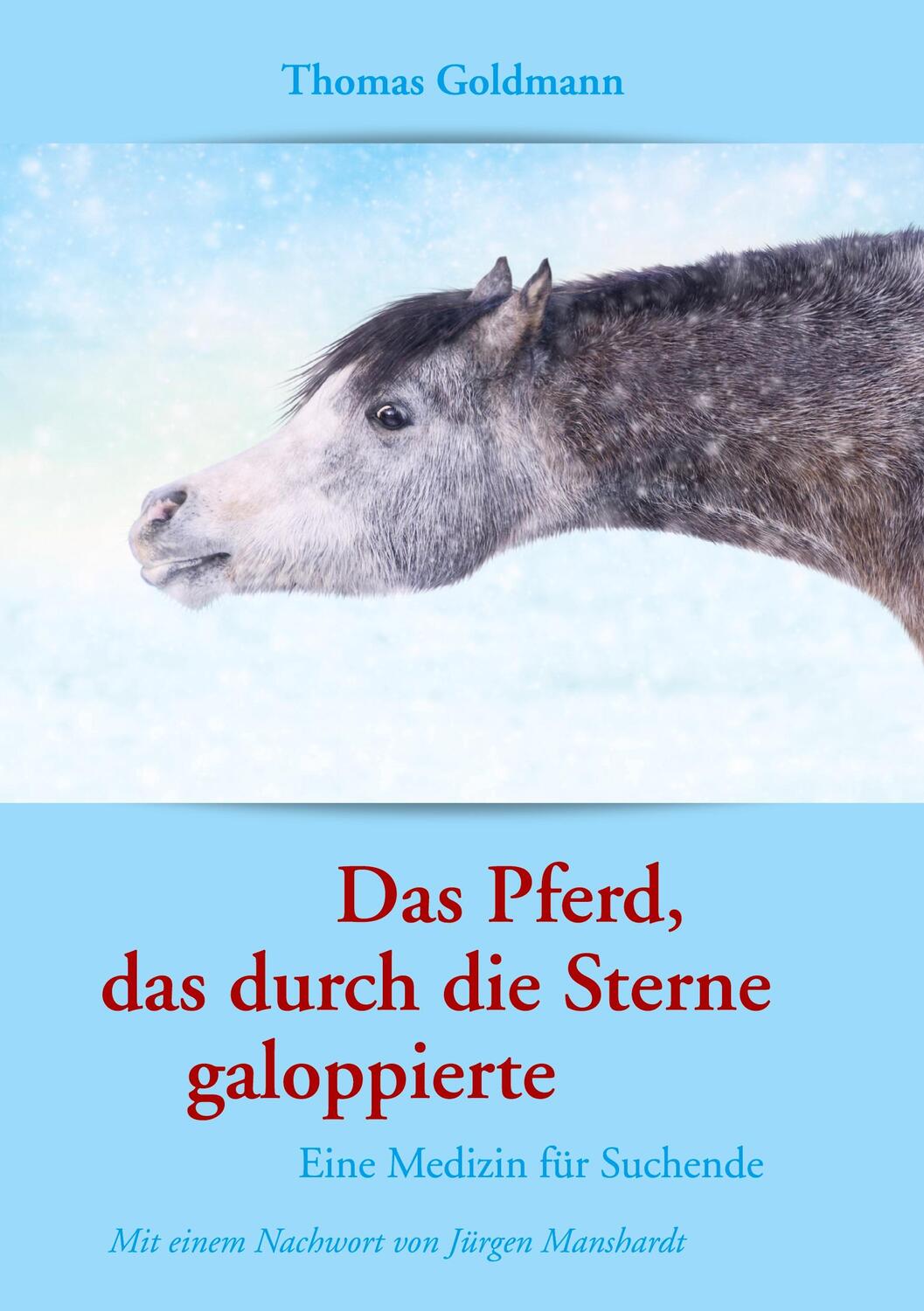 Cover: 9783734726132 | Das Pferd, das durch die Sterne galoppierte | Thomas Goldmann | Buch