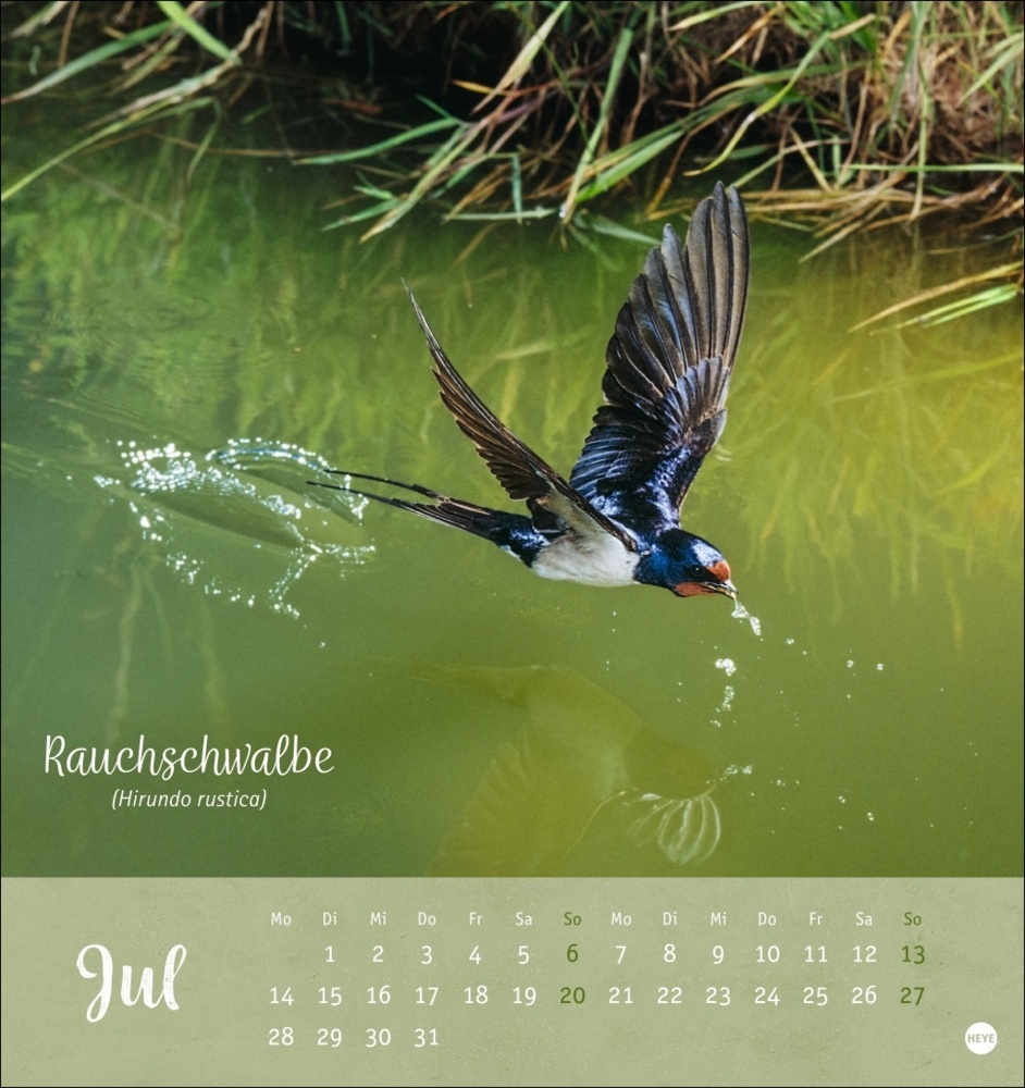 Bild: 9783756407125 | Vögel in unseren Gärten Postkartenkalender 2025 | Kalender | 13 S.