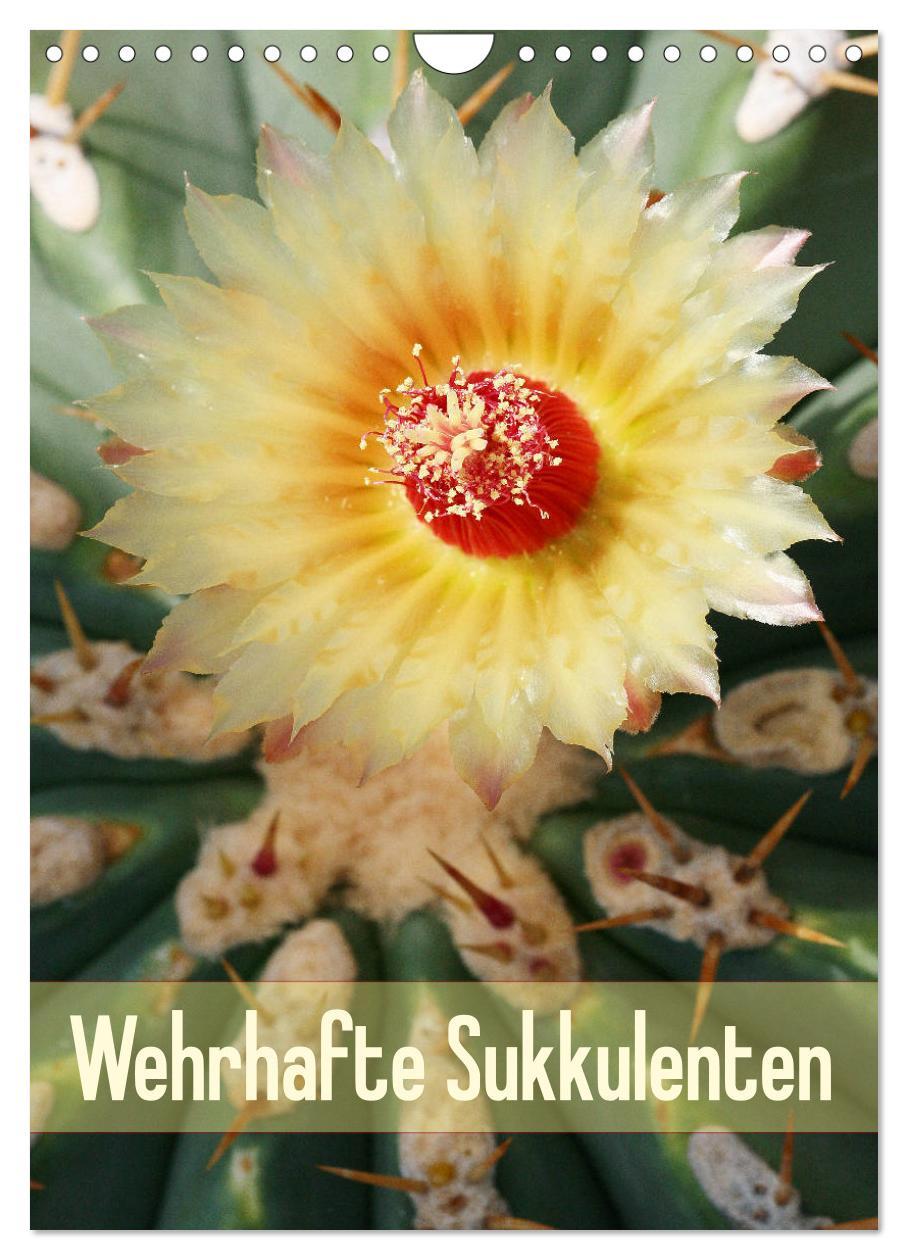 Cover: 9783435969951 | Wehrhafte Sukkulenten (Wandkalender 2025 DIN A4 hoch), CALVENDO...