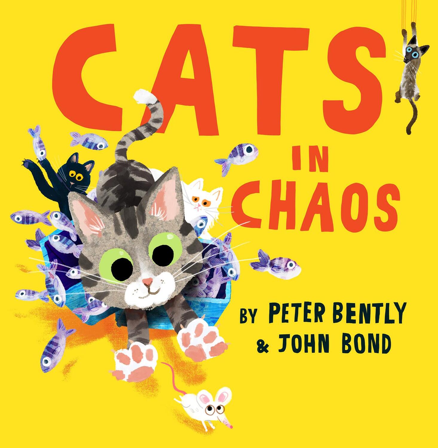 Cover: 9780008469184 | Cats in Chaos | Peter Bently | Taschenbuch | Kartoniert / Broschiert