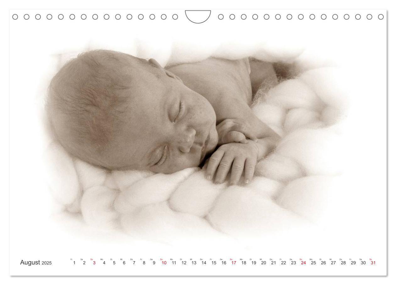 Bild: 9783435707362 | Babys - Willkommen im Leben (Wandkalender 2025 DIN A4 quer),...