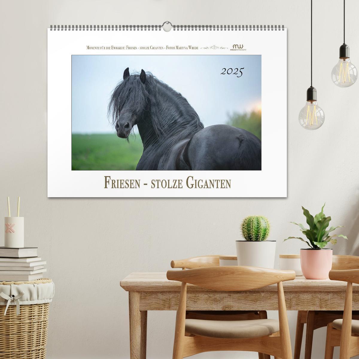 Bild: 9783435235407 | Friesen - stolze Giganten (Wandkalender 2025 DIN A2 quer), CALVENDO...