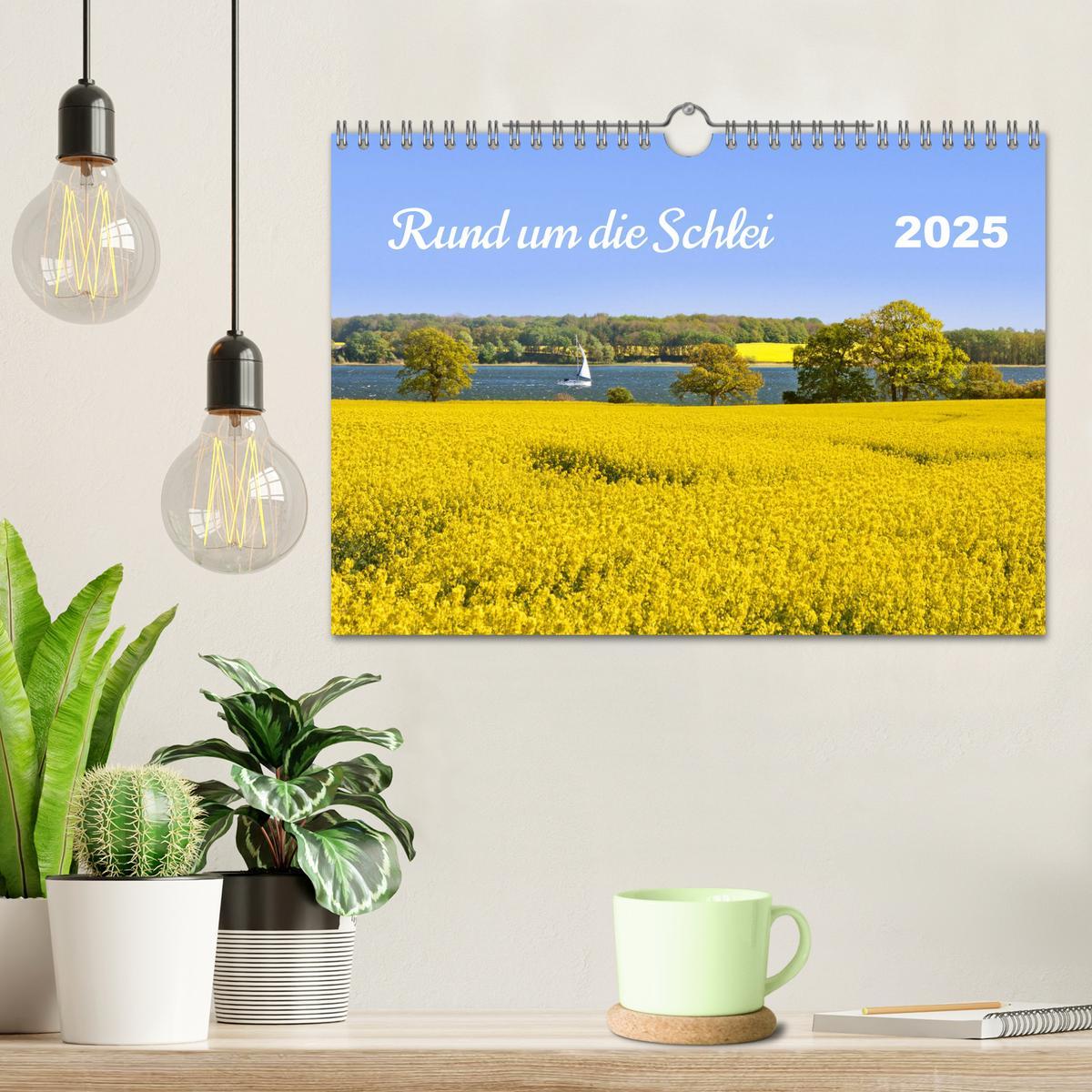 Bild: 9783457230572 | Rund um die Schlei (Wandkalender 2025 DIN A4 quer), CALVENDO...