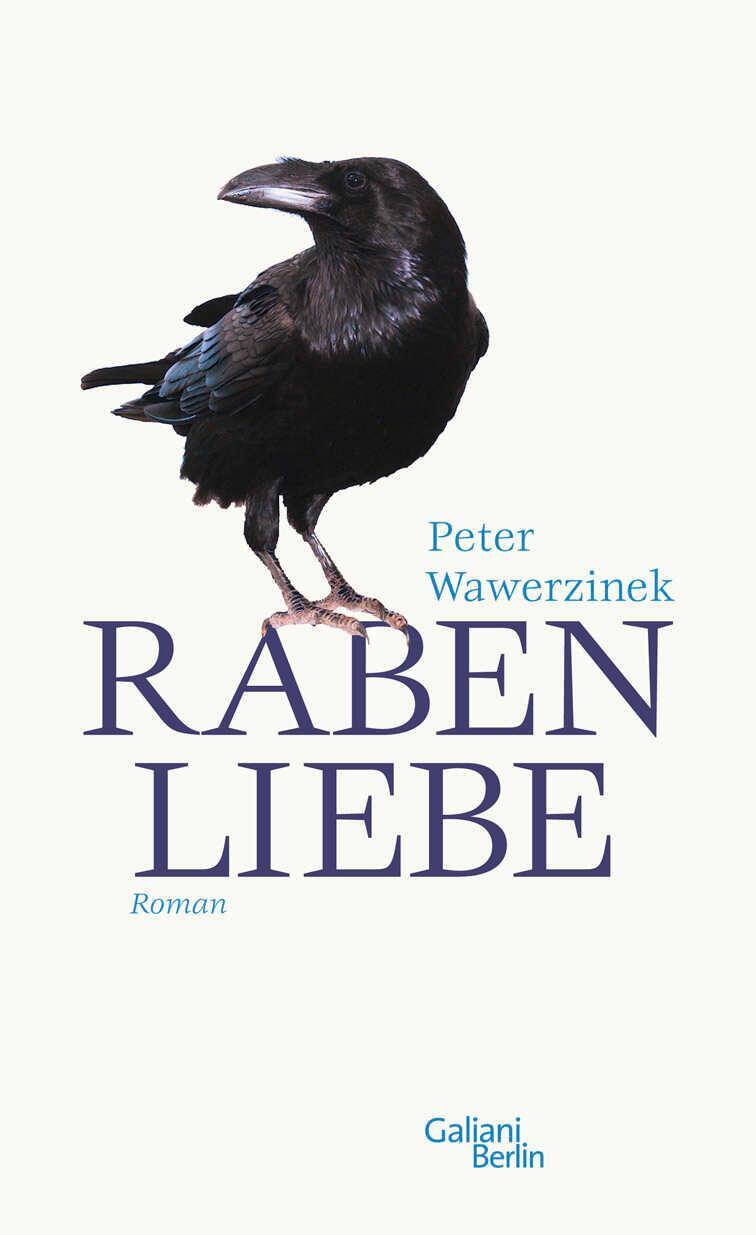 Cover: 9783869710204 | Rabenliebe | Eine Erschütterung | Peter Wawerzinek | Buch | 432 S.