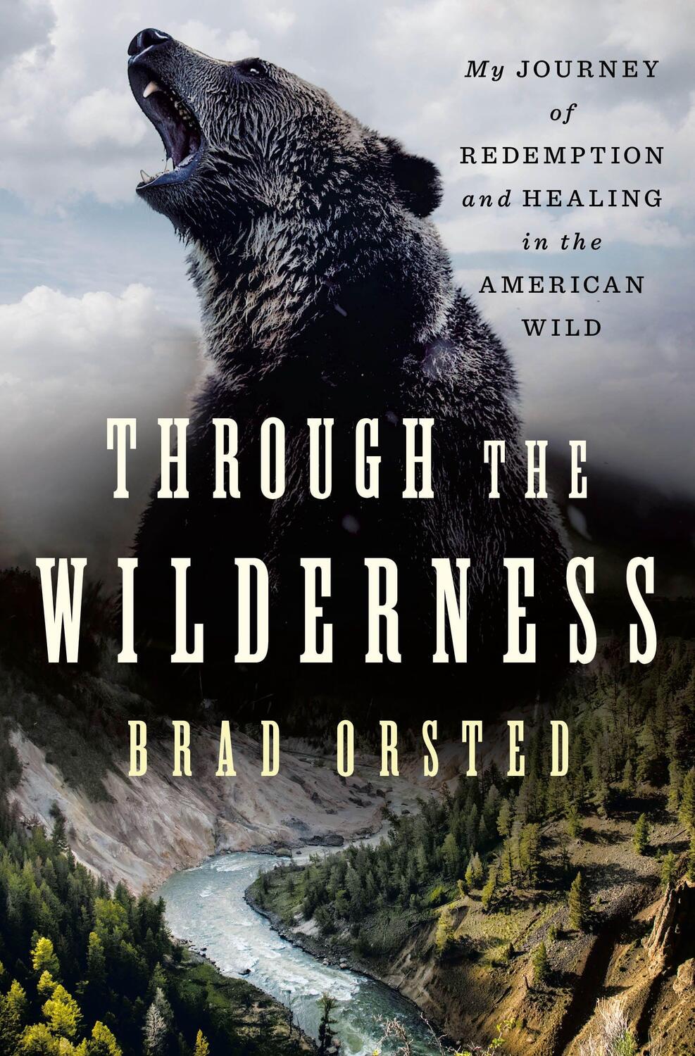 Cover: 9781250284693 | Through the Wilderness: My Journey of Redemption and Healing in the...