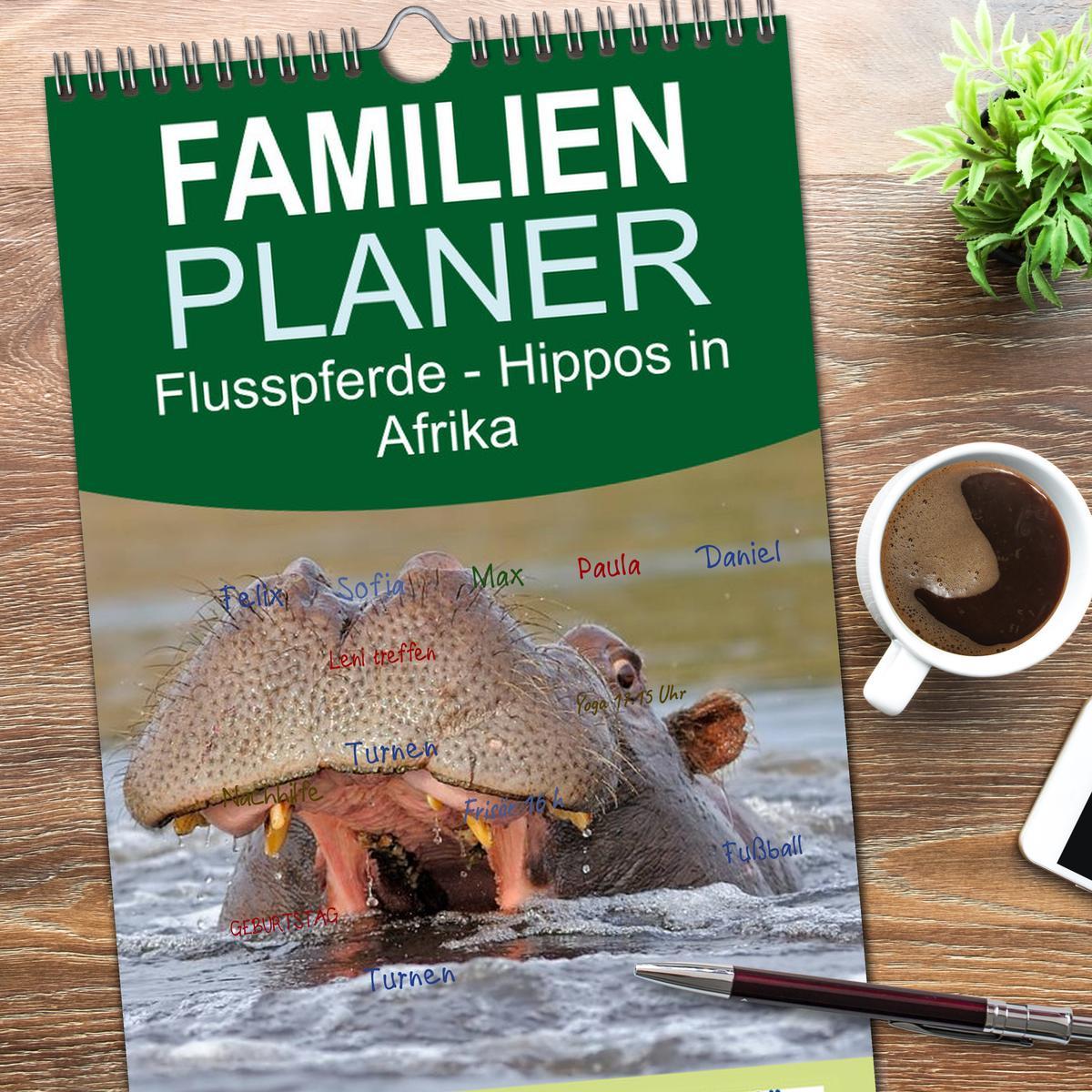 Bild: 9783457119570 | Familienplaner 2025 - Flusspferde Magie des Augenblicks - Hippos in...