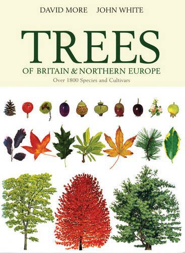 Cover: 9781408123669 | Illustrated Trees of Britain &amp; Europe | Domino | More/White | Buch