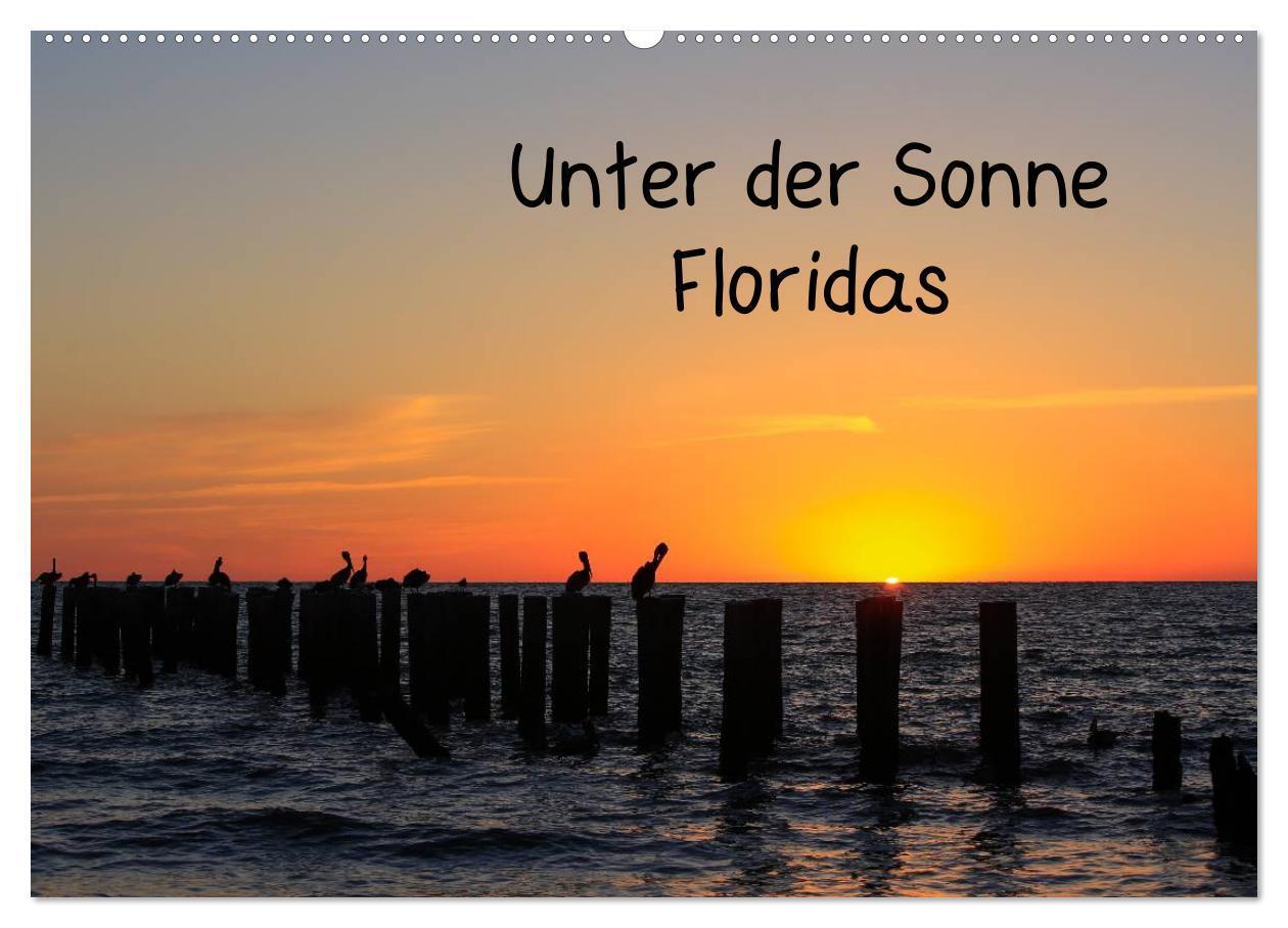 Cover: 9783383588907 | Unter der Sonne Floridas (Wandkalender 2024 DIN A2 quer), CALVENDO...