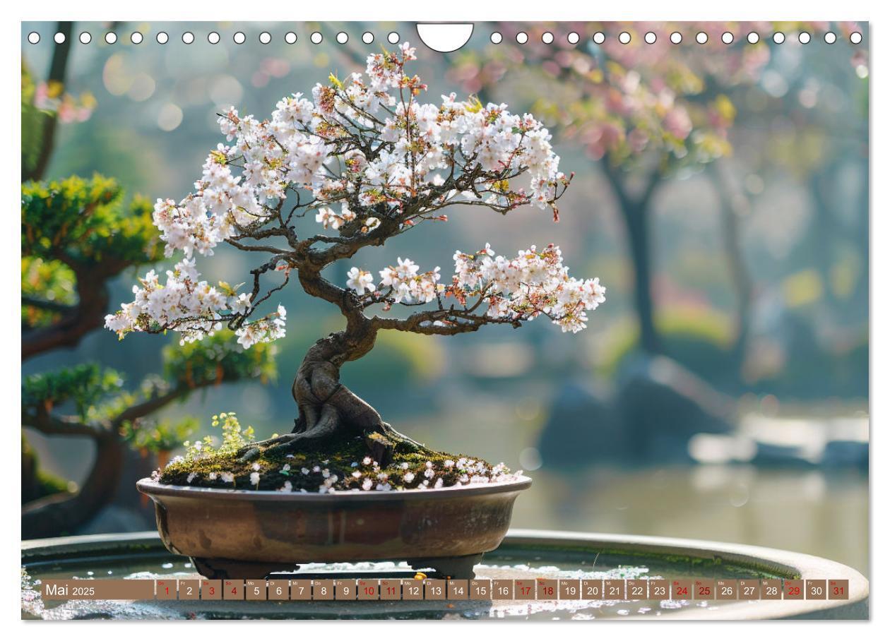 Bild: 9783383822230 | Bonsai meditativ (Wandkalender 2025 DIN A4 quer), CALVENDO...