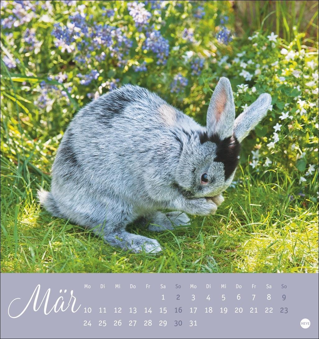 Bild: 9783756407057 | Süße Kaninchen Postkartenkalender 2025 | Kalender | Spiralbindung