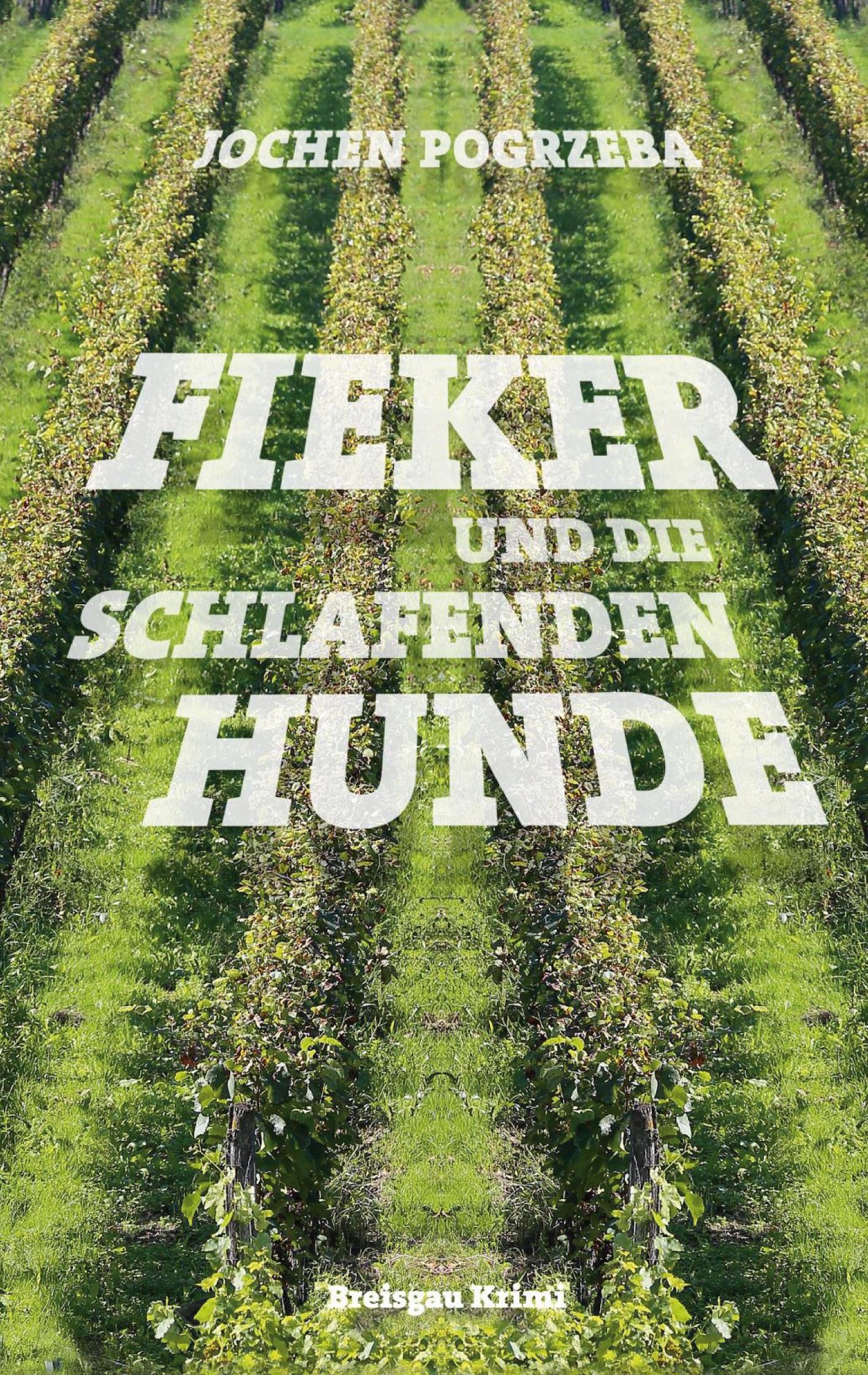 Cover: 9783769324976 | Fieker und die schlafenden Hunde | Jochen Pogrzeba | Taschenbuch