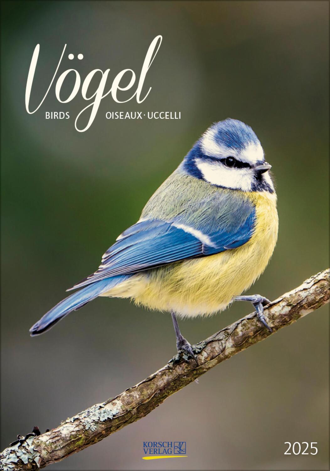 Cover: 9783731876205 | Vögel 2025 | Verlag Korsch | Kalender | Spiralbindung | 13 S. | 2025