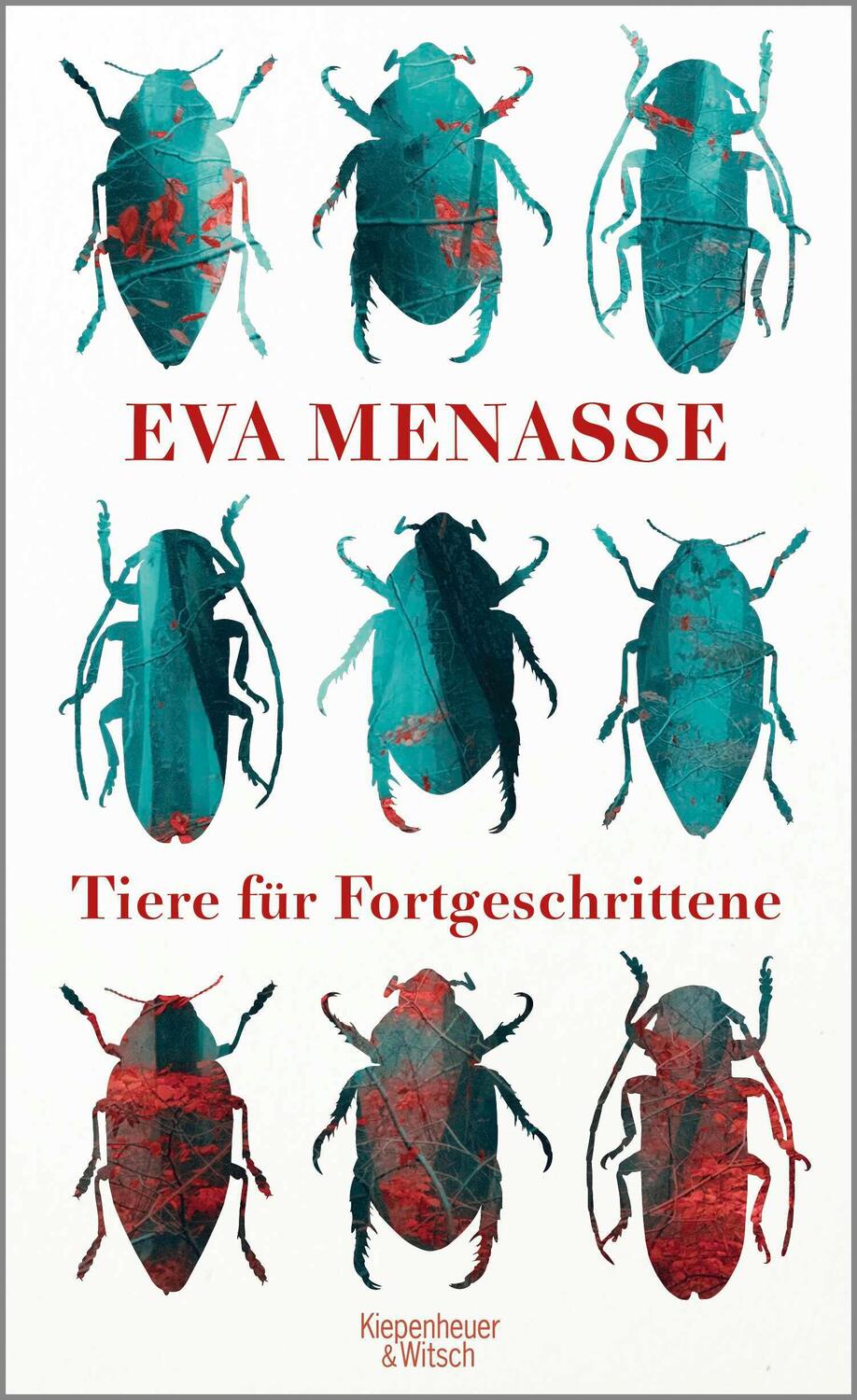 Cover: 9783462047912 | Tiere für Fortgeschrittene | Eva Menasse | Buch | 320 S. | Deutsch