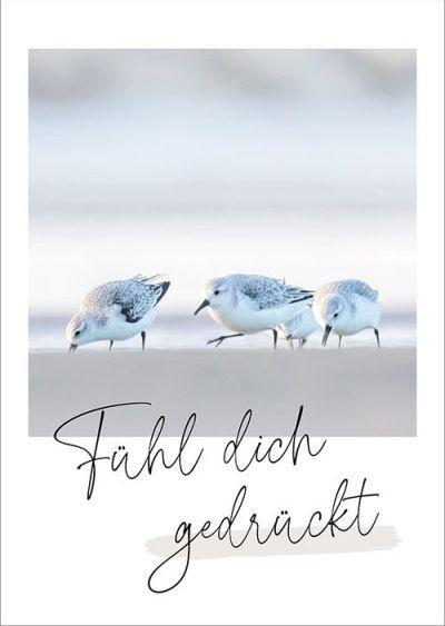 Bild: 4029856840796 | Unendlich geliebt - Postkartenset | Stück | 18 S. | 5584079 | Deutsch