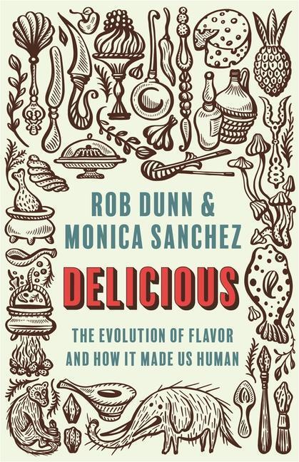Cover: 9780691199474 | Delicious | The Evolution of Flavor and How It Made Us Human | Buch