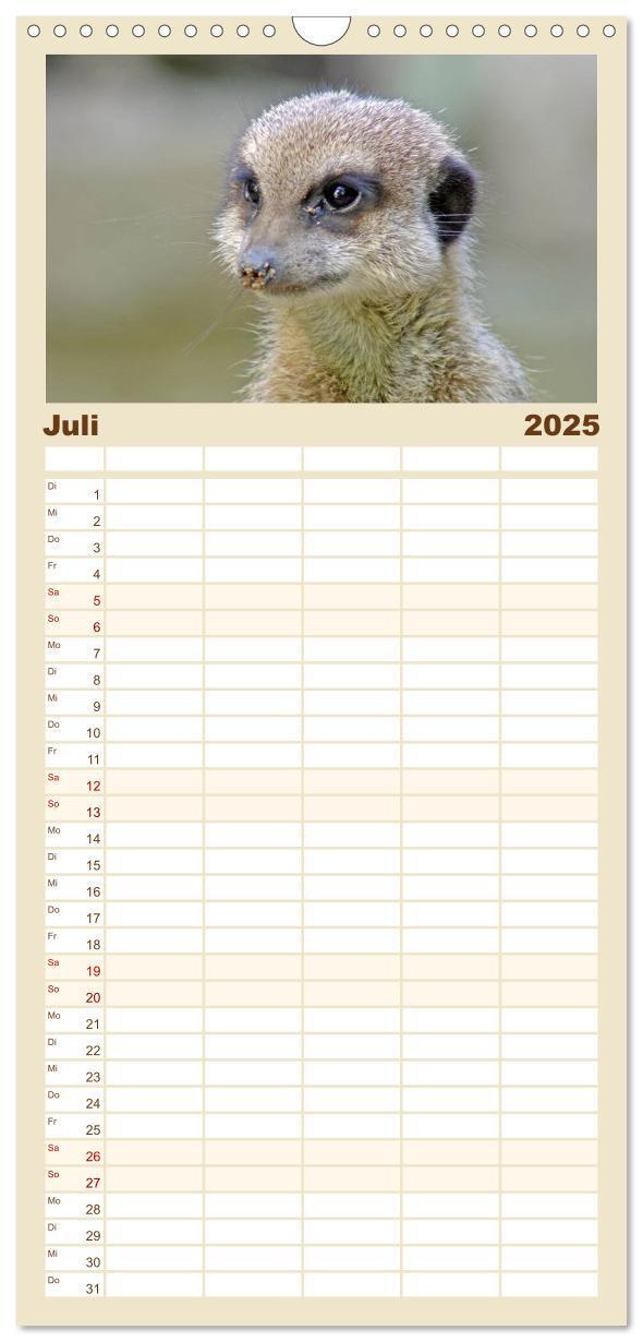 Bild: 9783457110782 | Familienplaner 2025 - Erdmännchen mit 5 Spalten (Wandkalender, 21 x...