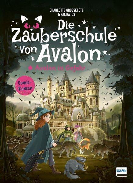 Cover: 9783741527913 | Die Zauberschule von Avalon - Avalon in Gefahr | Charlotte Grossetête