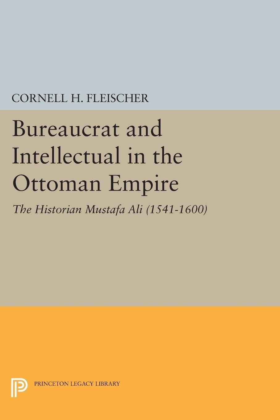Cover: 9780691610313 | Bureaucrat and Intellectual in the Ottoman Empire | Fleischer | Buch