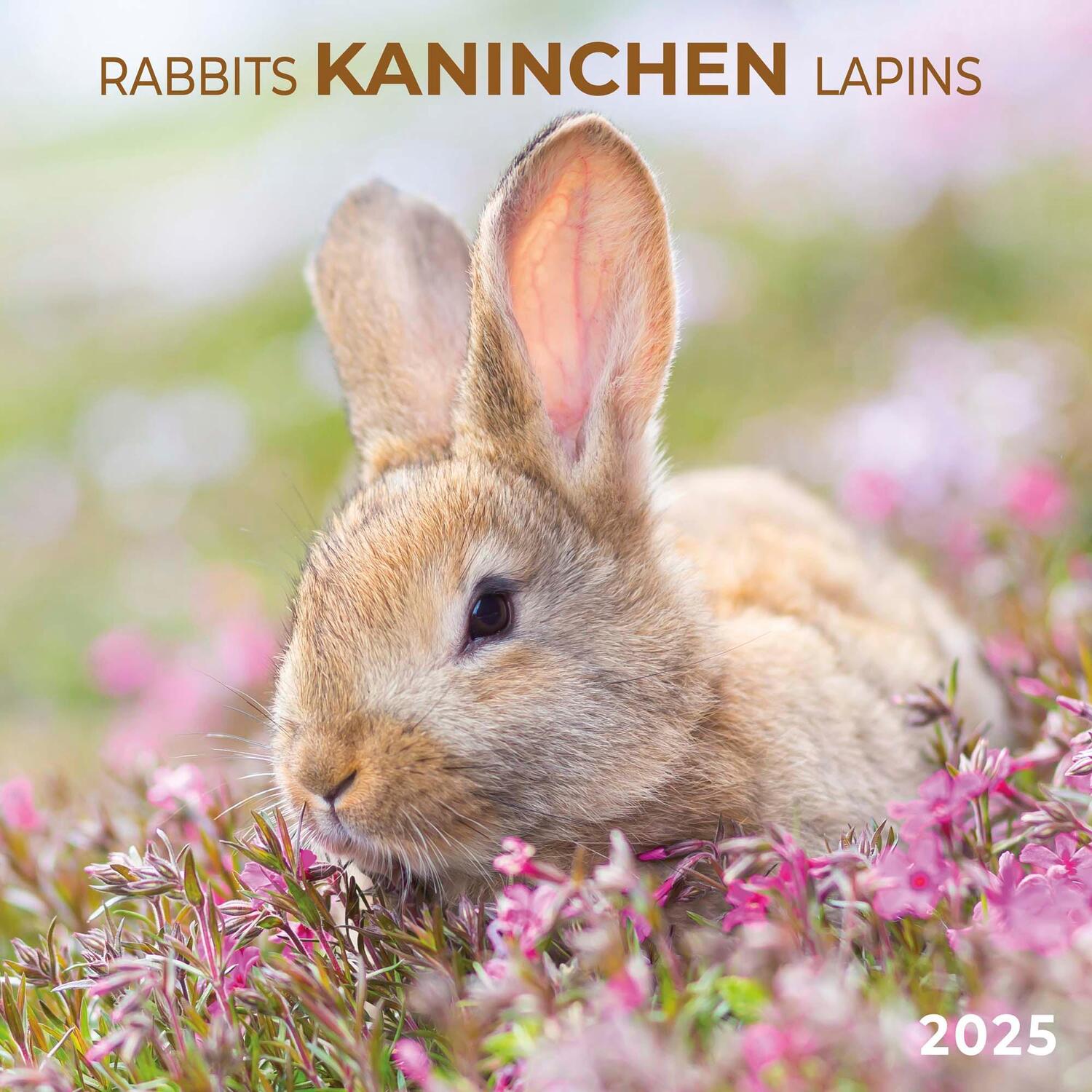 Cover: 9783959294720 | Rabbits/Kaninchen 2025 | Kalender 2025 | Kalender | Artwork Edition