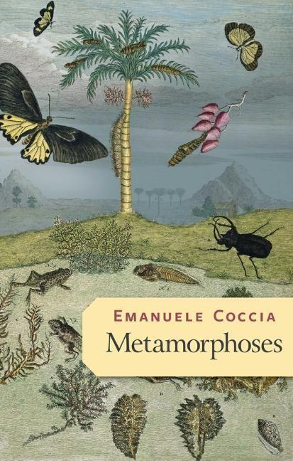 Cover: 9781509545674 | Metamorphoses | Emanuele Coccia | Taschenbuch | Englisch | 2021