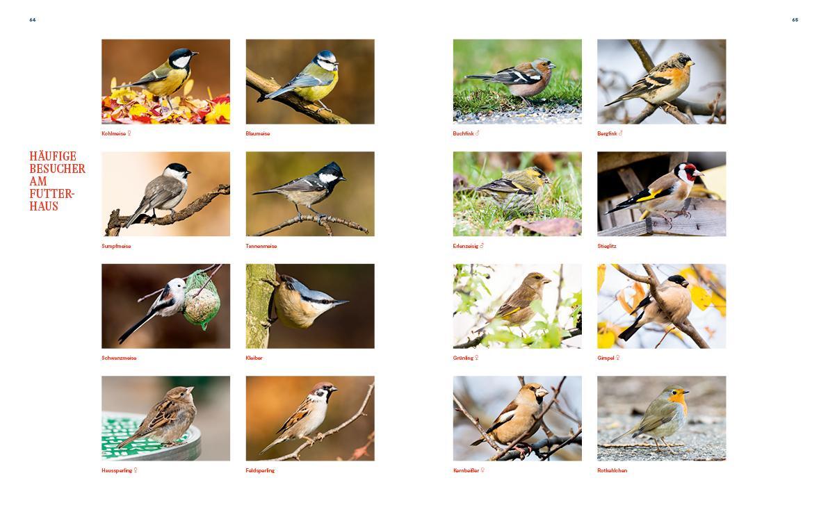 Bild: 9783710402838 | Unsere Vogelwelt | Heimische Arten und ihre Geheimnisse entdecken